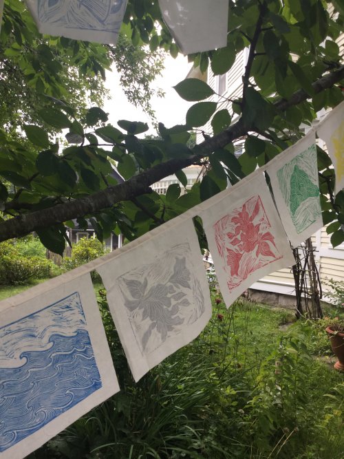 peace flags, another view