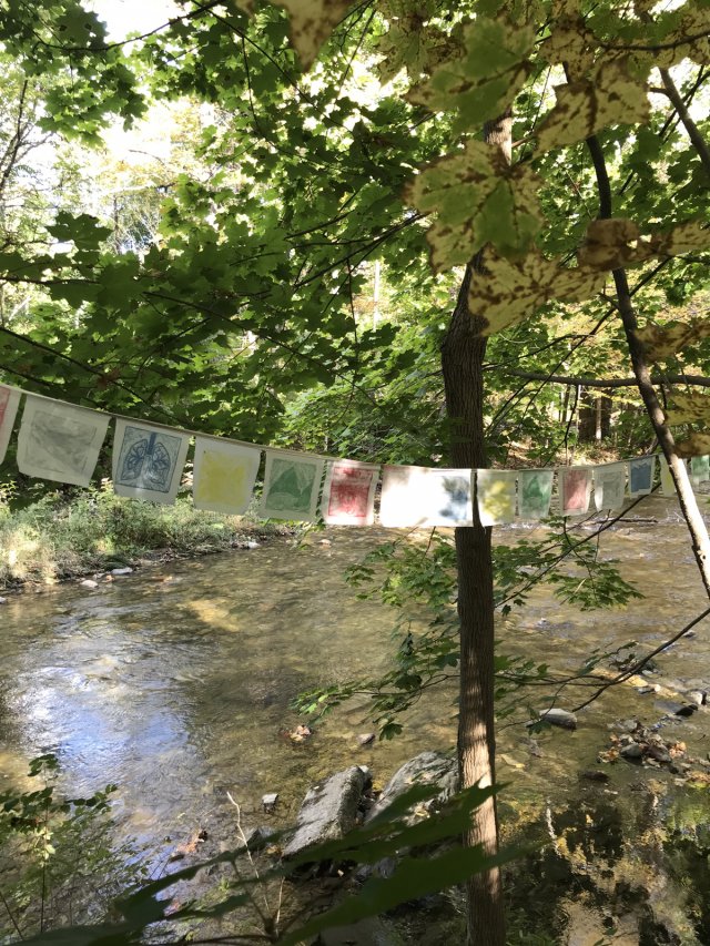 flags for peace at Riverworks 2020